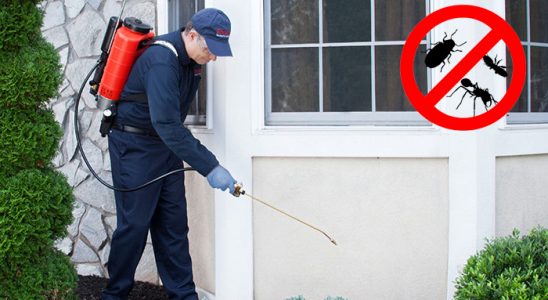 Çifteler Bit İlaçlama böcek ilaçlama ve haşere kontrolü — ilaclama-tr.com